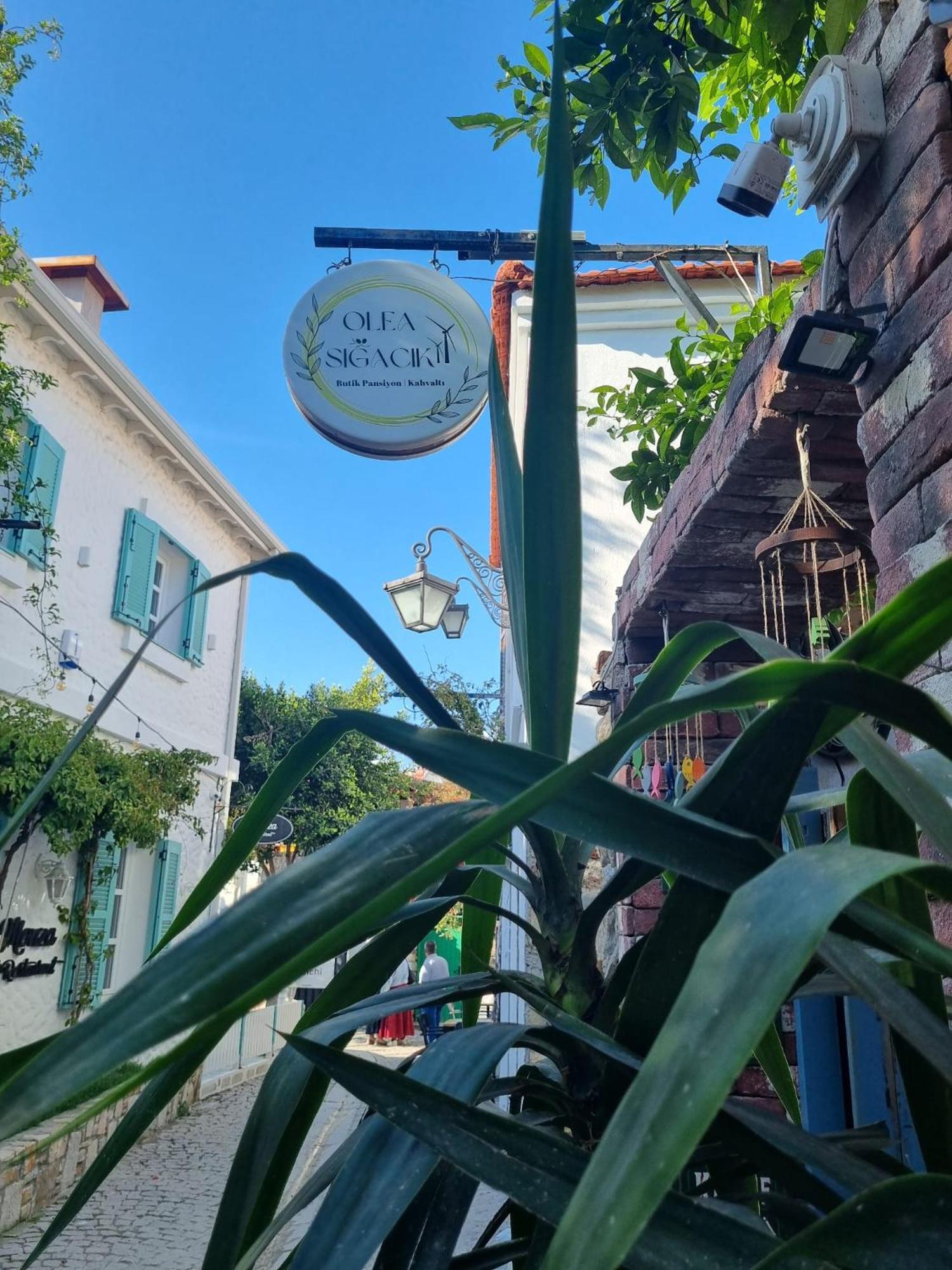 Olea Sigacik Pansiyon & Bistro Seferihisar Extérieur photo