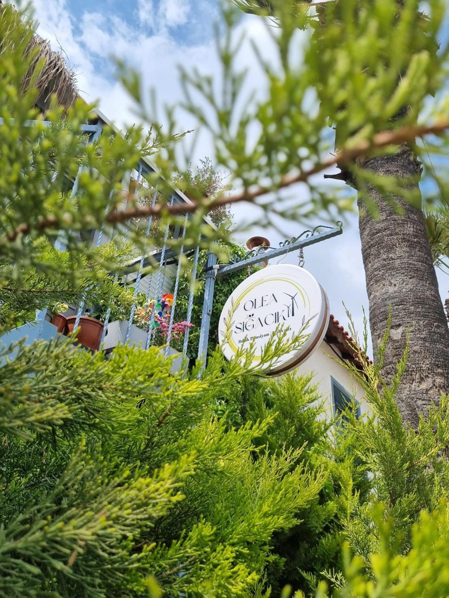 Olea Sigacik Pansiyon & Bistro Seferihisar Extérieur photo